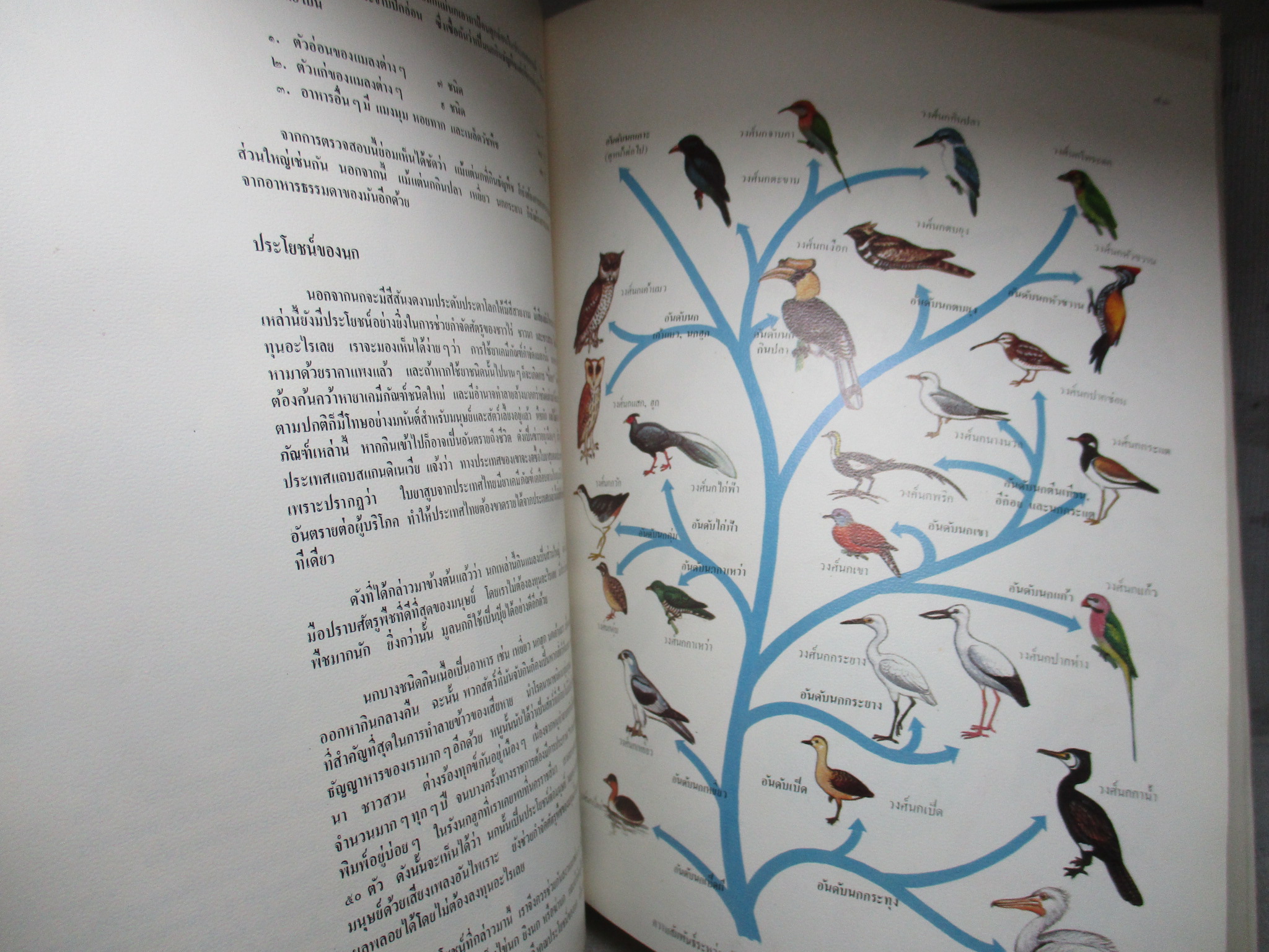 สารานุกรมไทยสำหรับเยาวชน เล่ม01 โดยพระราชประสงค์ในพระบาทสมเด็จพระเจ้าอยู่หัว