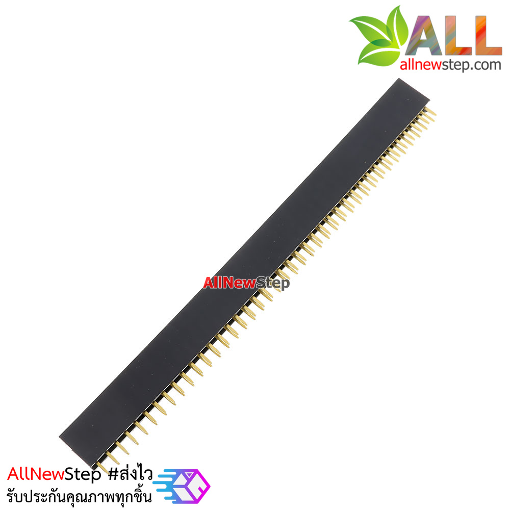 Double Row Hole Jack 2x40 PIN Header 2.54MM