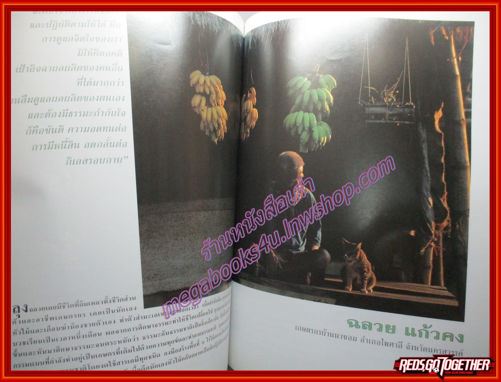 นิตยสารสารคดี ฉบับที่155 ปีที่13 2541 ลูกสัตว์ เกษตรทางเลือก นักมวยเด็ก