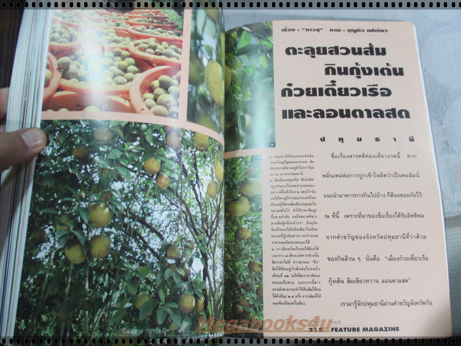 นิตยสารสารคดี ฉบับที่121 ปีที่11 มีนาคม 2538; เครื่องจับปลา,คนหูหนวก,วัวแดง,ปทุมธานี