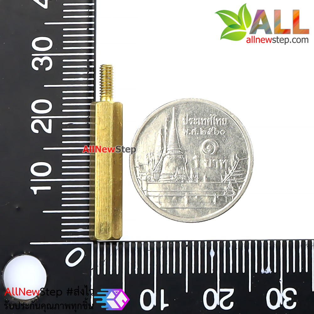 น็อต m2.5 22+6mm