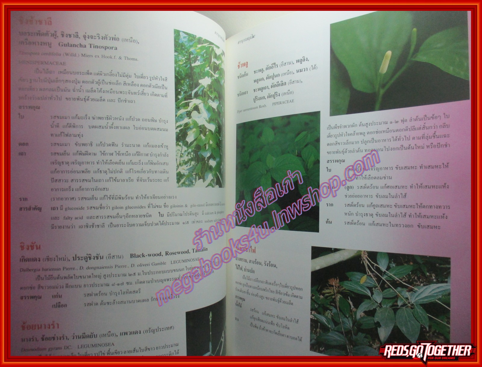 ร่วมอนุรักษ์มรดกไทย สารานุกรมสมุนไพร รวมหลักเภสัชกรรมไทย โดย วุฒิ วุฒิธรรมเวช ปกแข็ง หนาใหญ๋