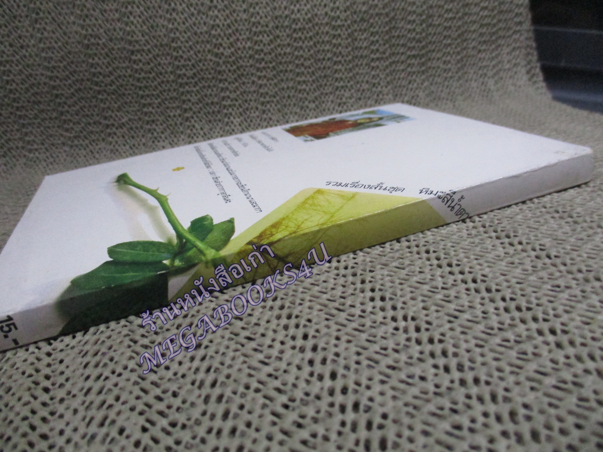 หิมะสีน้ำตาล / รัศมีดารา