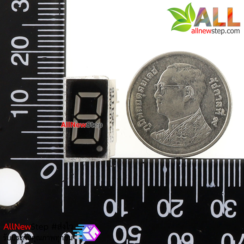 7 Segment 0.36 นิ้ว Common Anode 1digit Red ไฟ 7 segment 0.36 1 หลัก สีแดงแบบไฟบวกร่วม 3161B
