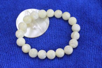 เปลือกหอยมุก ( Mother of Pearl )