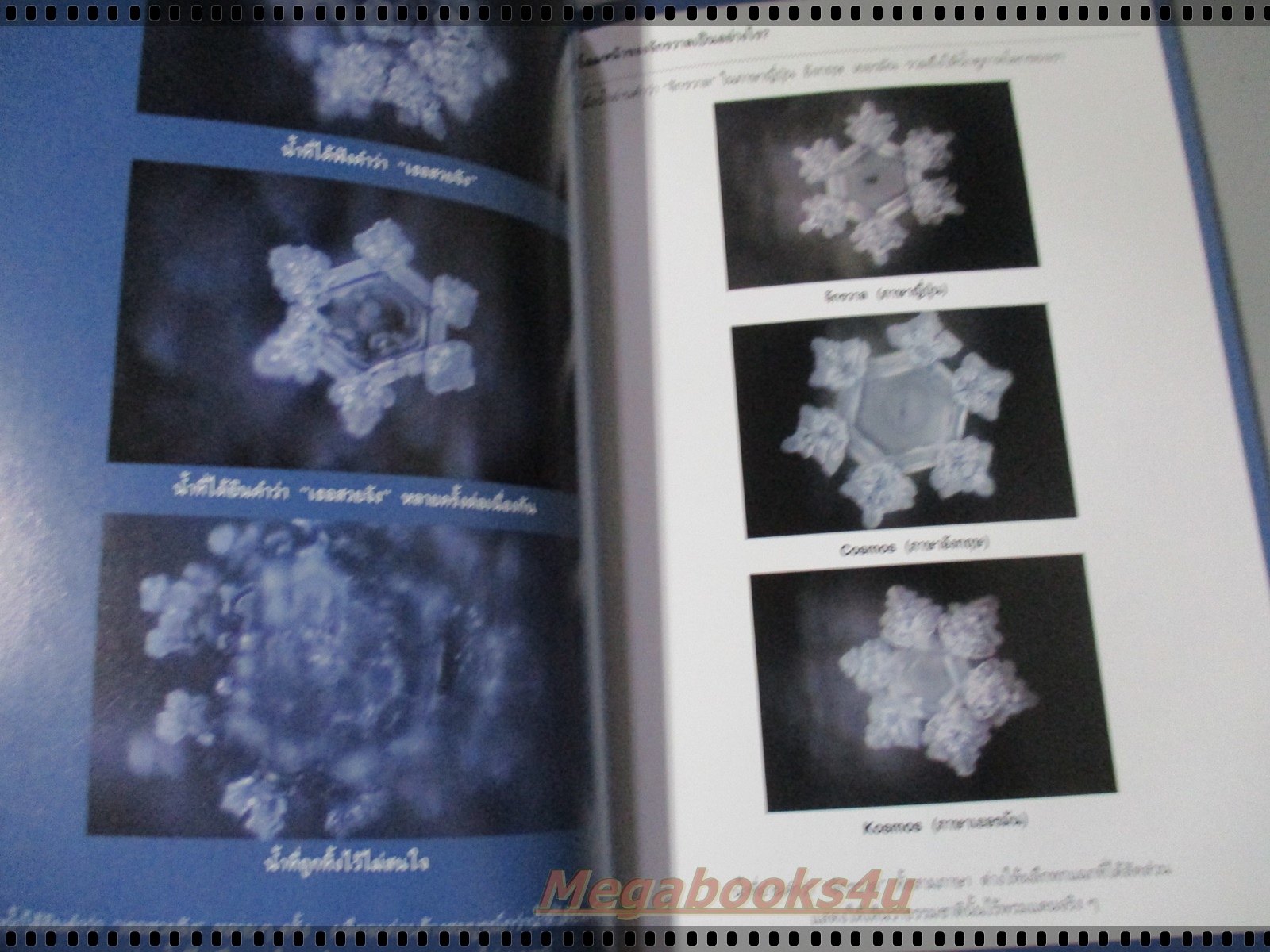 มหัศจรรย์แห่งน้ำ คำตอบเพื่อชีวิตที่ดีกว่า โดย ดาดา แปลและเรียบเรียง