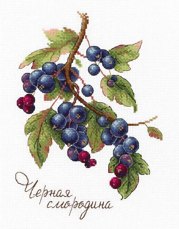 MP Studia ชุดปัก Gifts of Nature, Black Currant