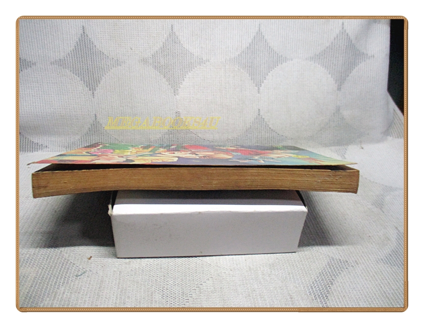 การ์ตูนเก่า มังกรซ่อนลาย เล่ม09 สนพ.หมึกจีน สภาพพอใช้