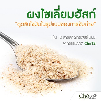Cho12 โช ทเวลฟ์ by เนย โชติกา