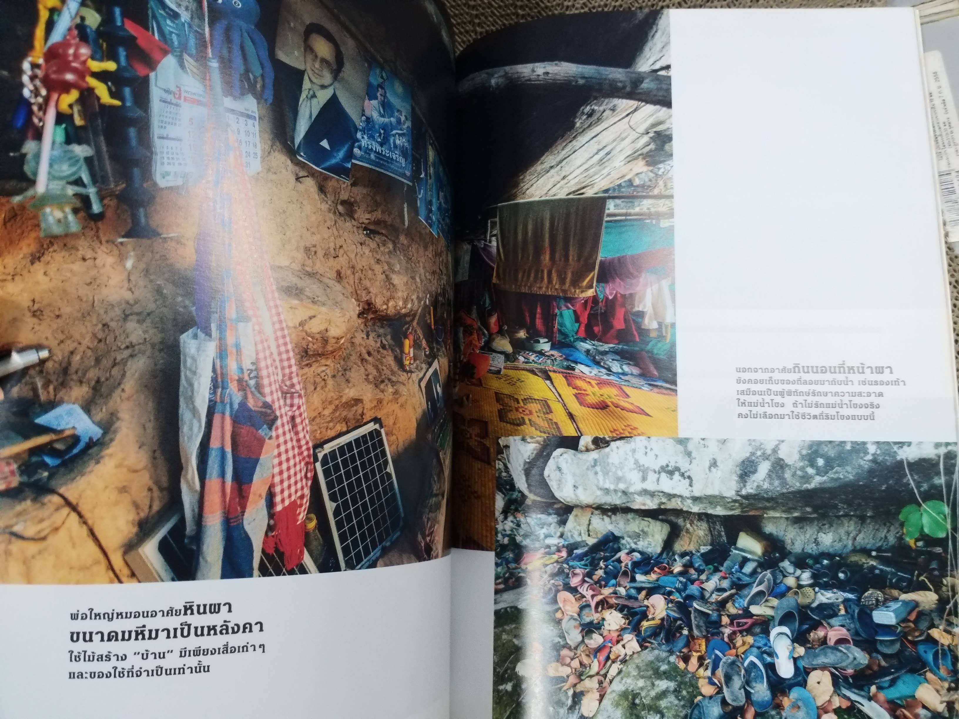 นิตยสารสารคดี ฉบับที่431 ปี2564 ไม้ใบที่รัก / ม่าเมี่ยว มนุษย์ประหลาด /