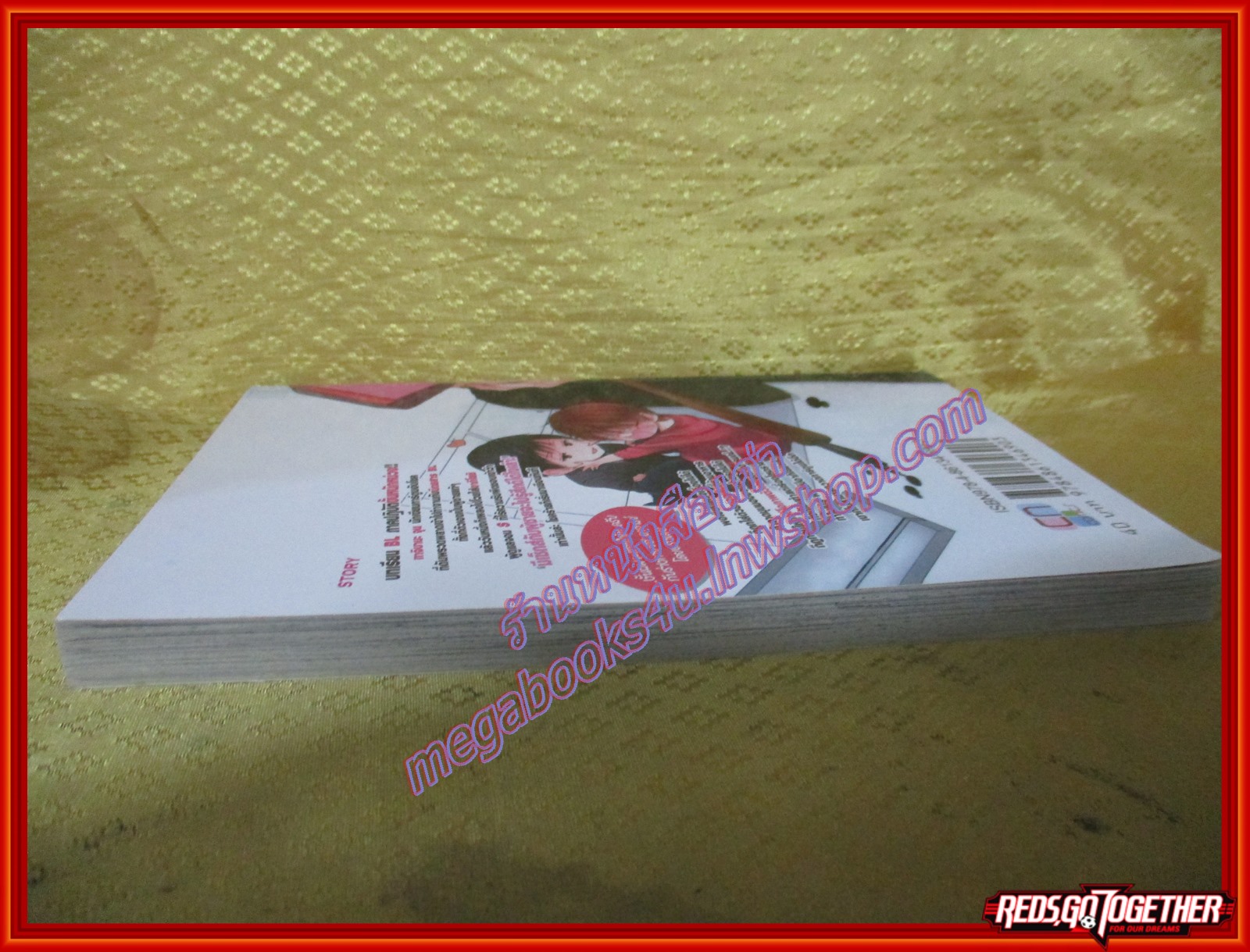 การ์ตูนวาย วิถีรักของนักเขียนการ์ตูนวาย