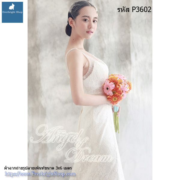 Paint Backdrop Cloth 3x6M _P-3602