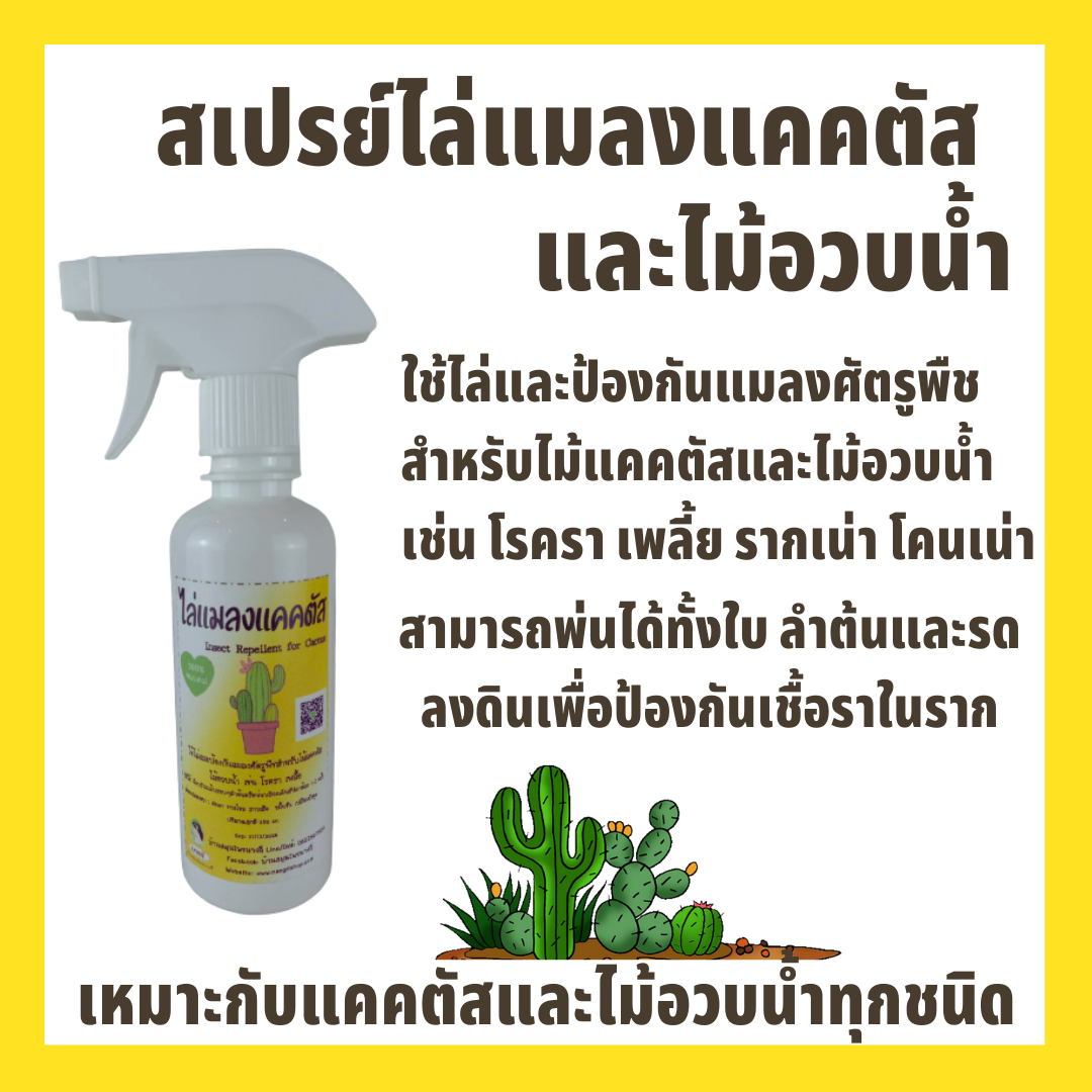 สเปรย์ไล่แมลงสำหรับแคคตัสและไม้อวบน้ำ (สูตรพร้อมใช้)