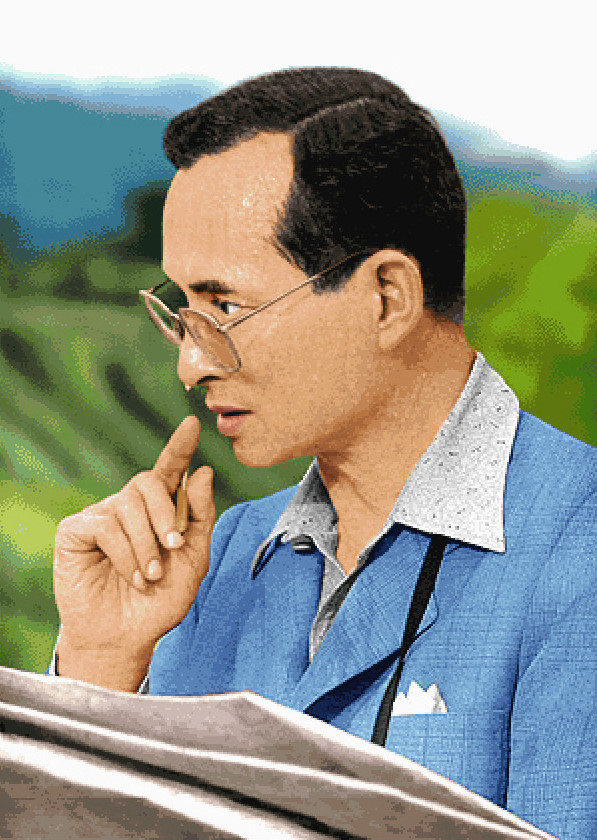 Pinn ในหลวง ร.๙ทรงงาน(ภาพขนาดใหญ่)