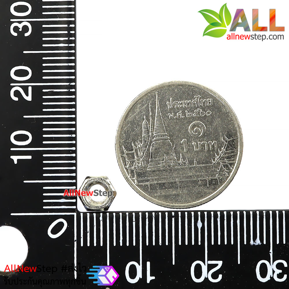 น็อตตัวเมีย m3 จำนวน 100 ตัว