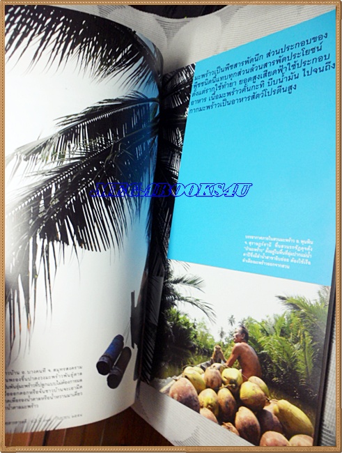 นิตยสารสารคดี ฉบับที่319 ปีที่27 ก.ย.2554,มะพร้าว,ธรรมศาลา,เที่ยวสงขลา,หน้าปกมีรอยเปื้อน สภาพดี