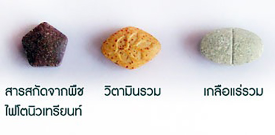 นิวทรีไลท์ ดับเบิ้ลเอ็กซ์ Nutrilite Double X Amway