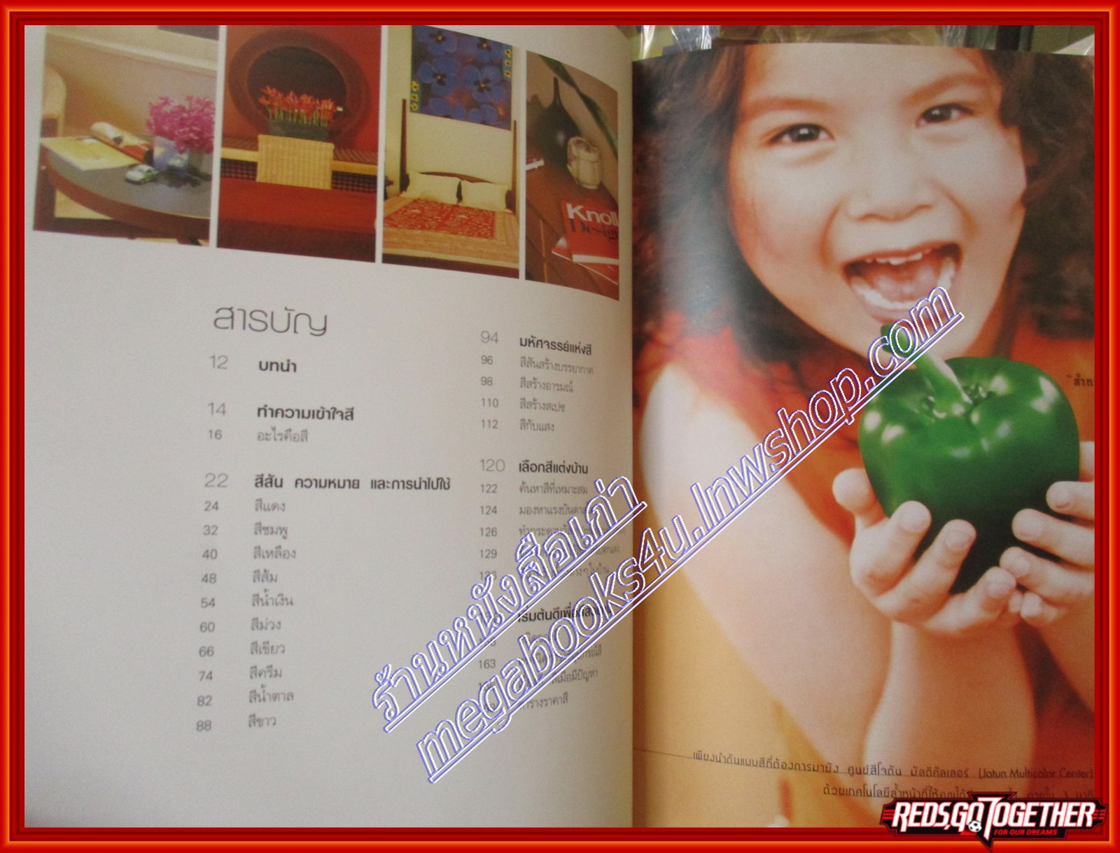 คู่มือการจัดและตกแต่งบ้านสีสด