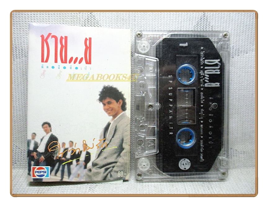 เทปเพลงไทยสากล วงชาย...ย ชุด ดีด สี ตี เป่า