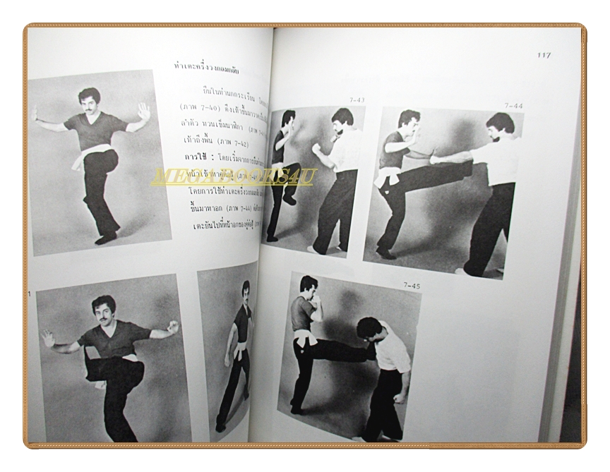 หนังสือ กังฟู ศิลปะในการต่อสู้และป้องกันตัว โดย สุนทร กายประจักษ์