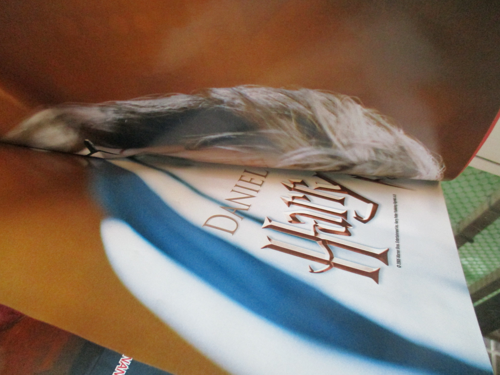 นิตยสารเอนเตอร์เทน Entertain ฉบับที่0855 ปี2548 ปก AEON FLUX โปสเตอร์เรื่อง HARRY POTTER