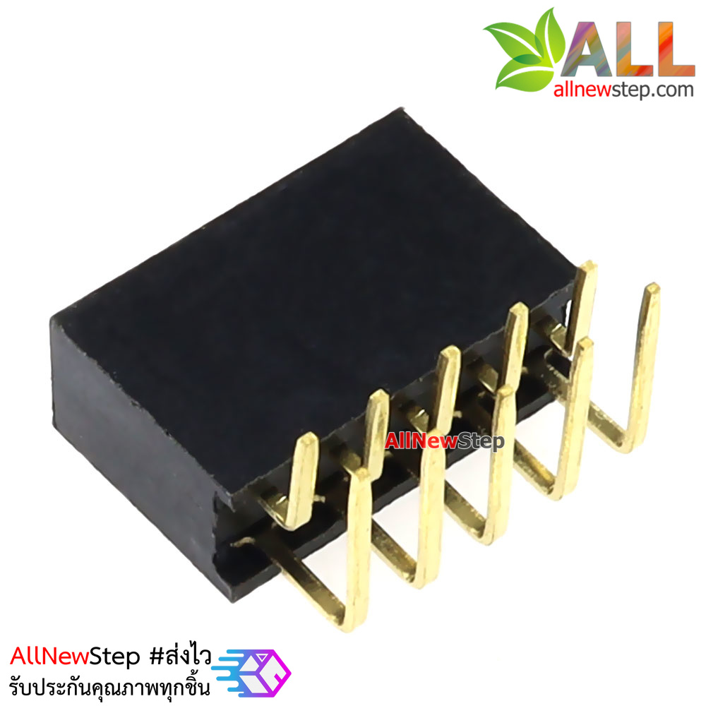 ขาก้างปลาตัวเมียแบบฉาก 2x5 ขา Double Row Hole Jack 2x5 PIN Header 2.54mm
