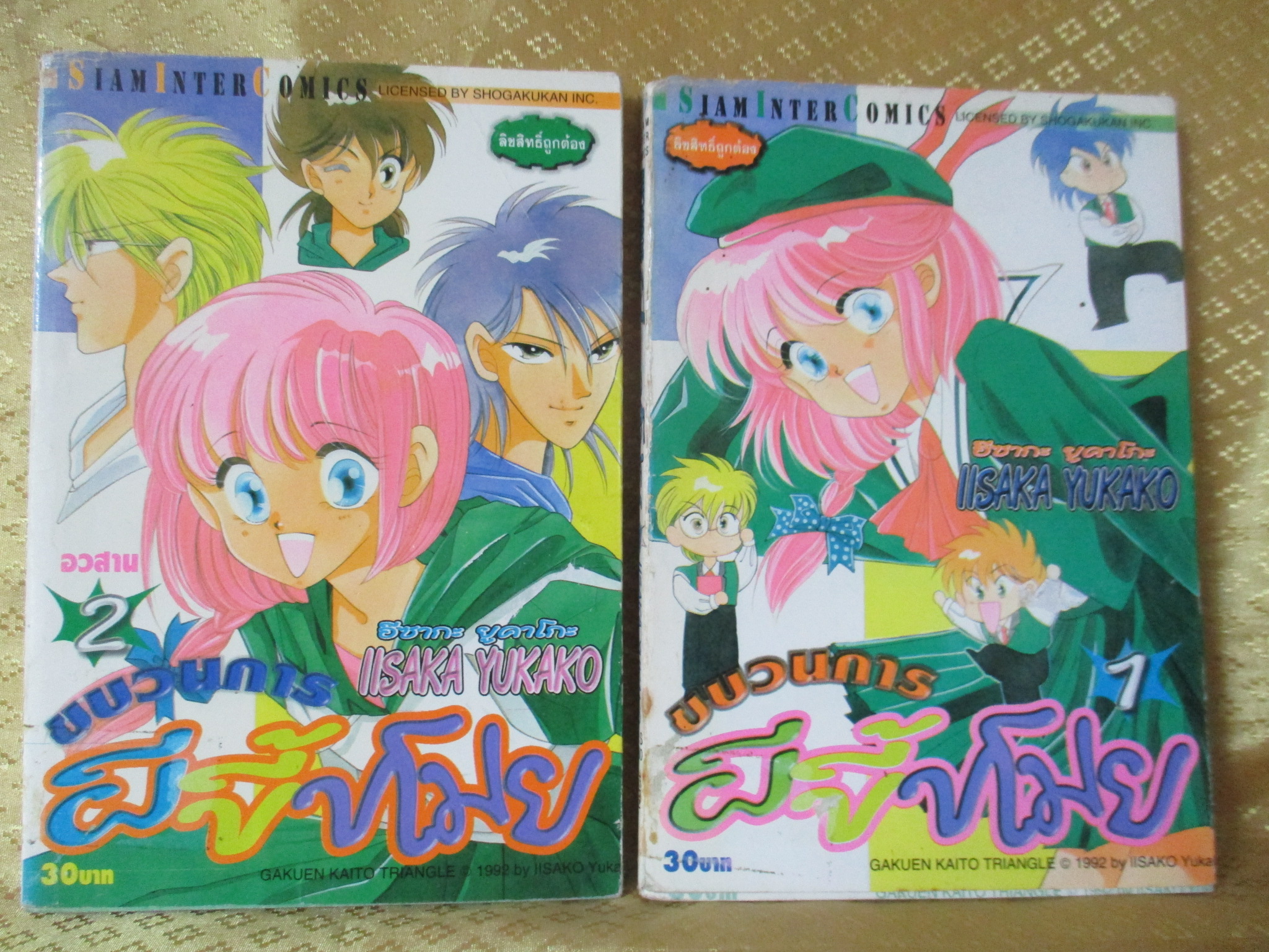 การ์ตูนเช่า ขบวนการผีขี้ขโมย ครบชุด2เล่มจบ โดย IISAKA YUKAKO สนพ.สยามฯ