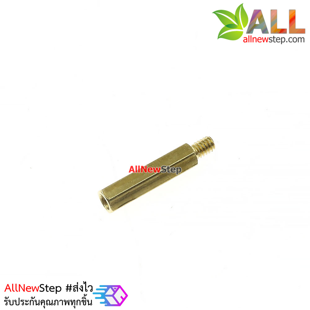 น็อตทองเหลือง NUT M2 ขนาด 12+3mm