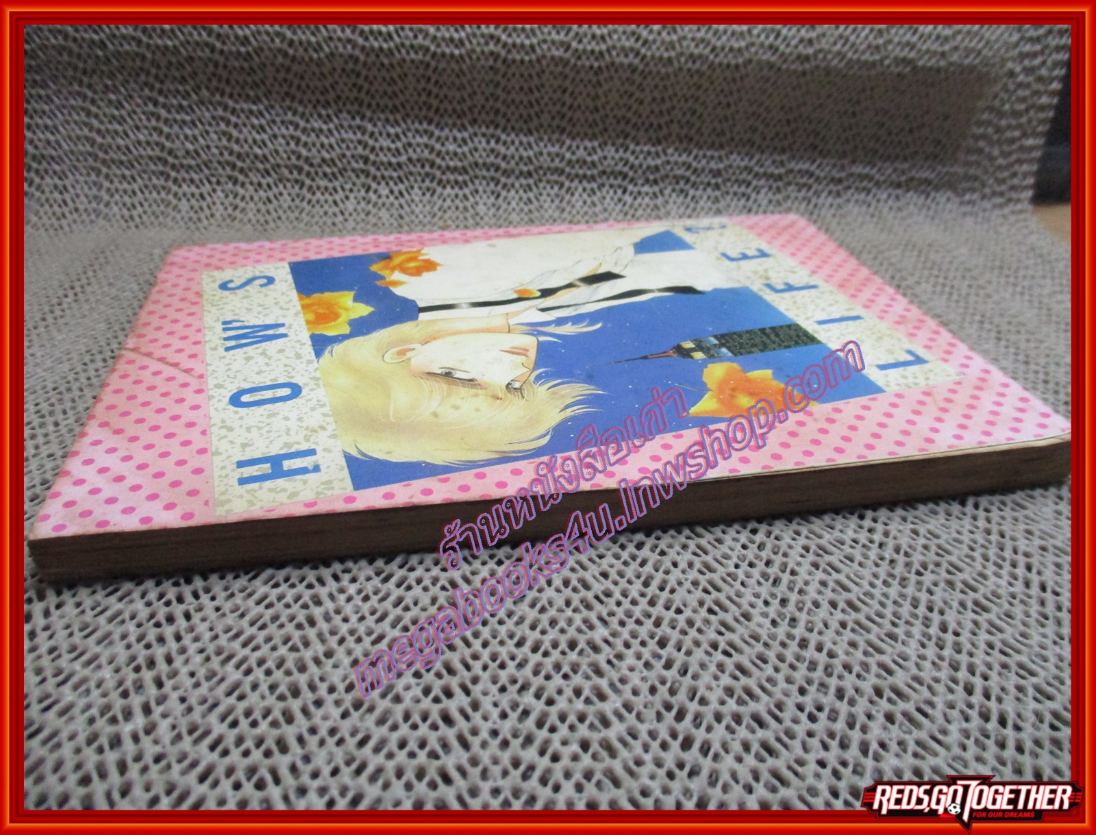 การ์ตูนบ้าน คล้องใจรัก เล่มเดียวจบ มิตรไมตรี