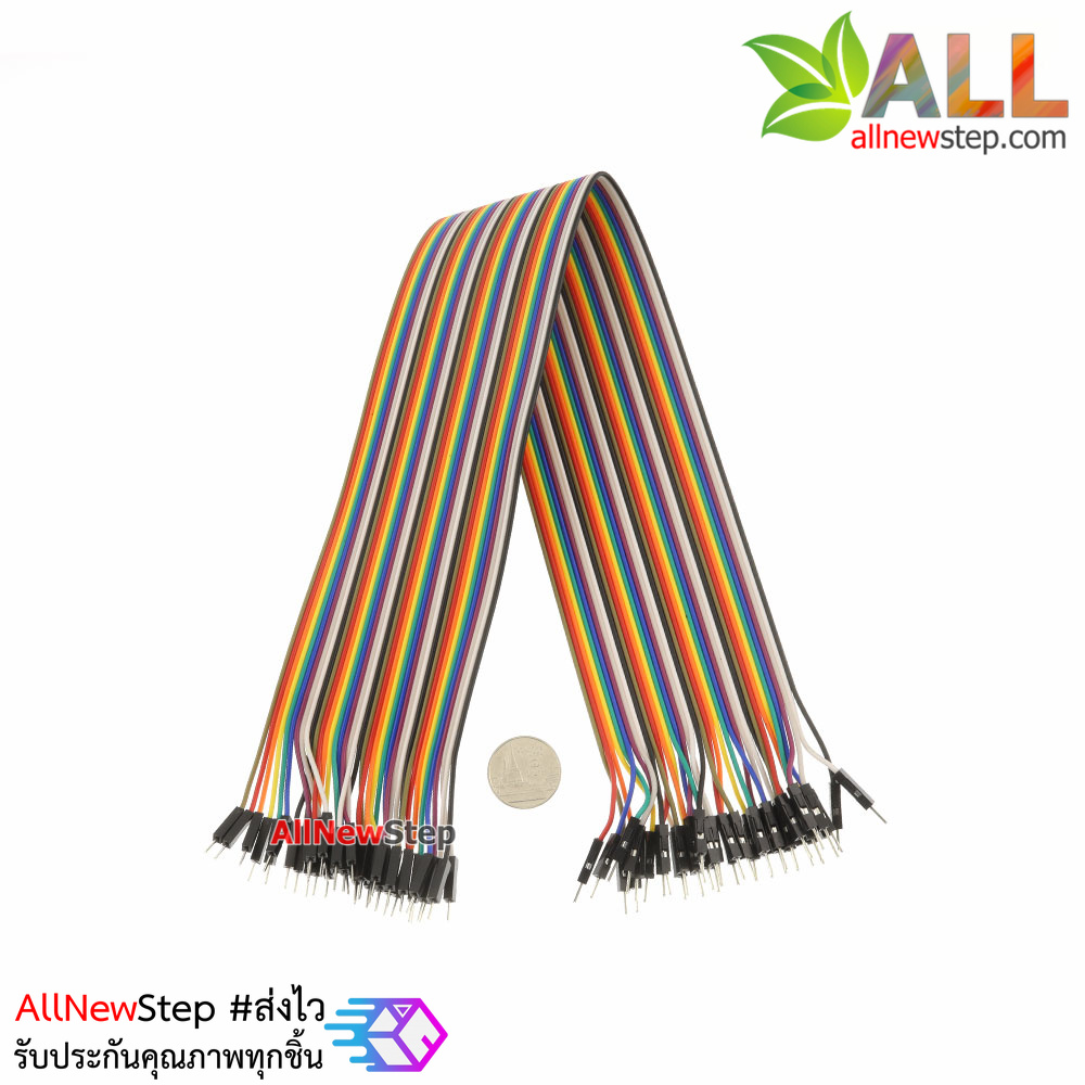 สาย ไฟจัมเปอร์ ผู้-ผู้ ยาว 40cm. จำนวน 40 เส้น