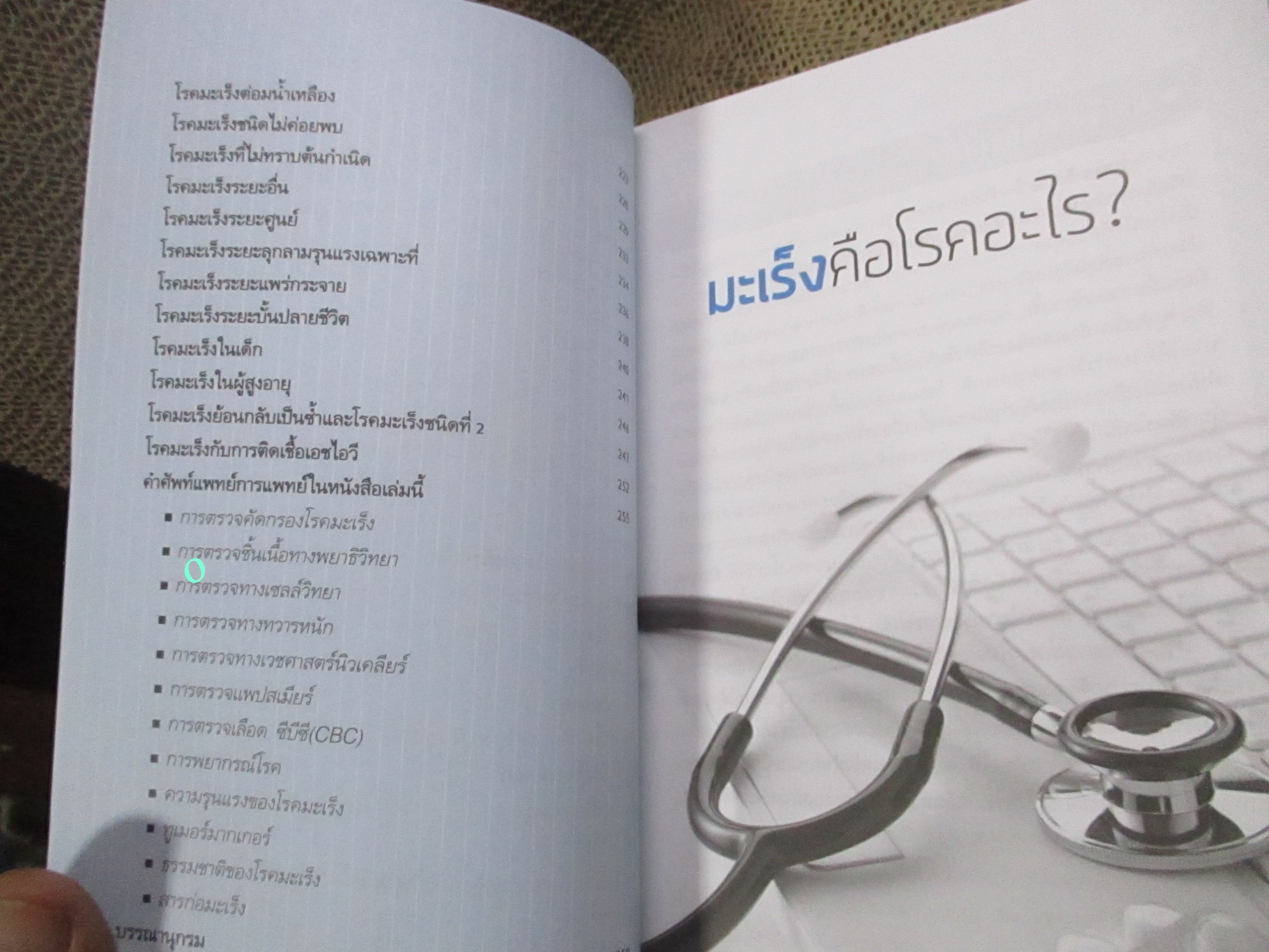 ถาม-ตอบ มะเร็งร้ายสารพัดชนิด. ผู้เขียน: พวงทอง ไกรพิบูลย์.