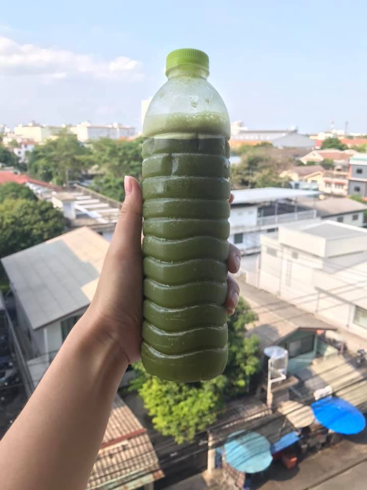 รีวิวมัทฉะ 2