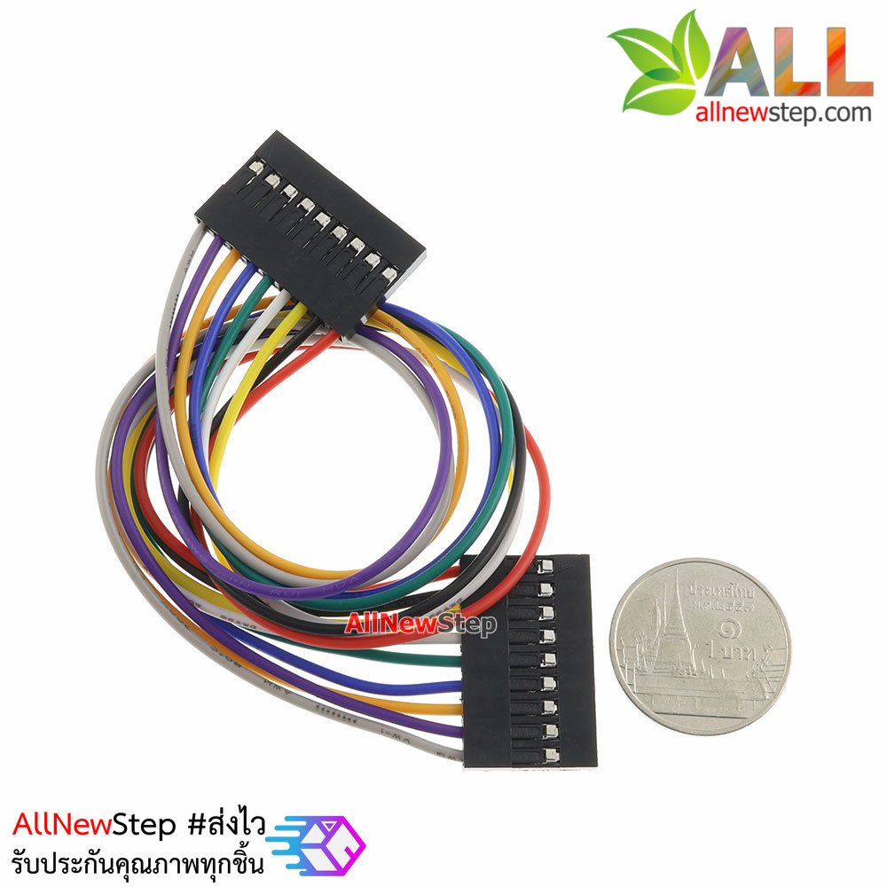 Jumper Wire 9P Female to Female สายไฟจัมเปอร์ เมีย-เมีย 9 เส้น ยาว 20cm ระยะขา 2.54mm