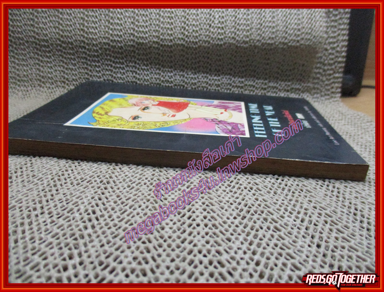 การ์ตูนบ้าน สายรักสายสัมพันธ์ เล่มเดียวจบ