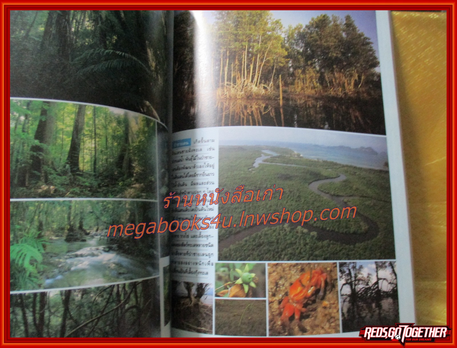 นิตยสารสารคดี ฉบับที่099 พฤษภาคม 2536 ปีที่9 ป่าเขตร้อน,หมอซินเธีย,นกขุนทอง,เที่ยวขอนแก่น,