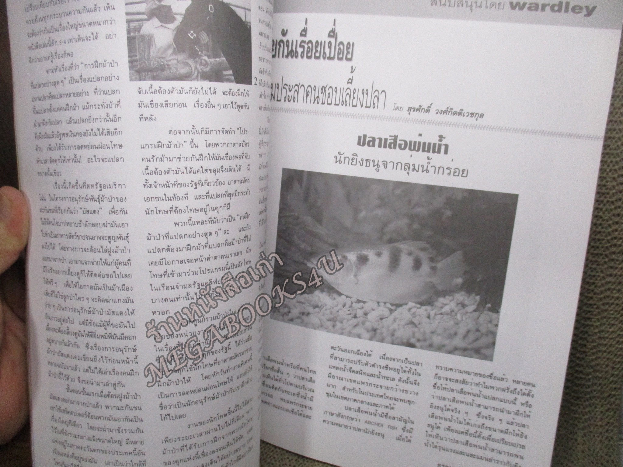 นิตยสาร ธรรมชาติและสัตว์เลี้ยง ฉบับที่071 ปี2539 ปก สุนัขบางแก้ว