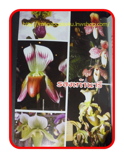 หนังสือกล้วยไม้รองเท้านารี สภาพดี