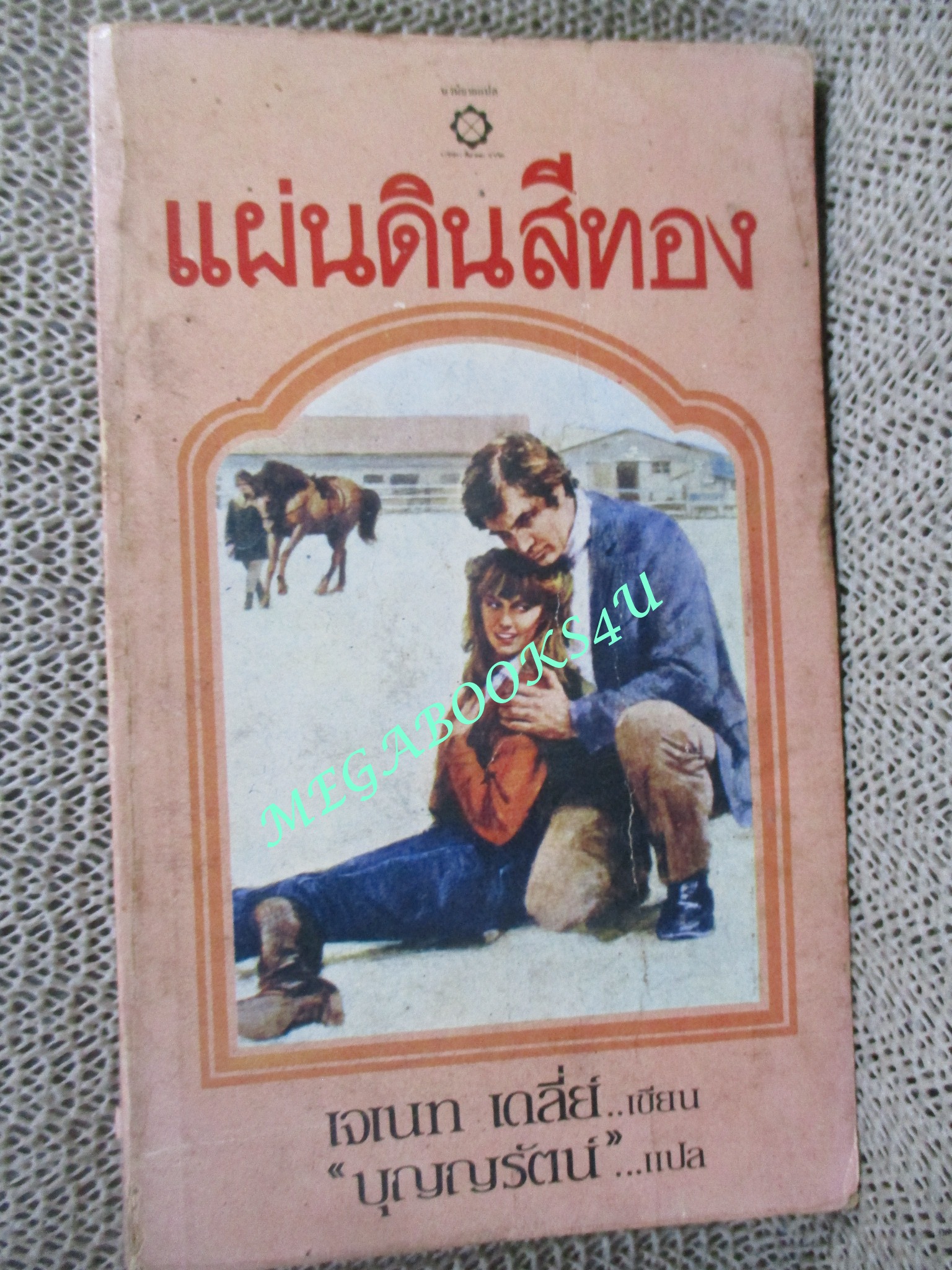 แผ่นดินสีทอง (The Homeplace) /เจเนท เดลี่ย์ เขียน / บุญญรัตน์ แปล /สันปกขาดหน่อย