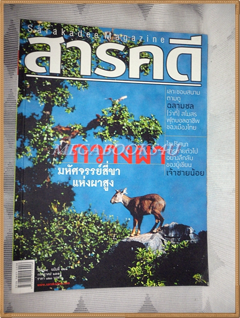 นิตยสารสารคดี ฉบับที่281 กรกฎาคม 2551 กวางผา,ฉลามชล,ปราจีนบุรี,