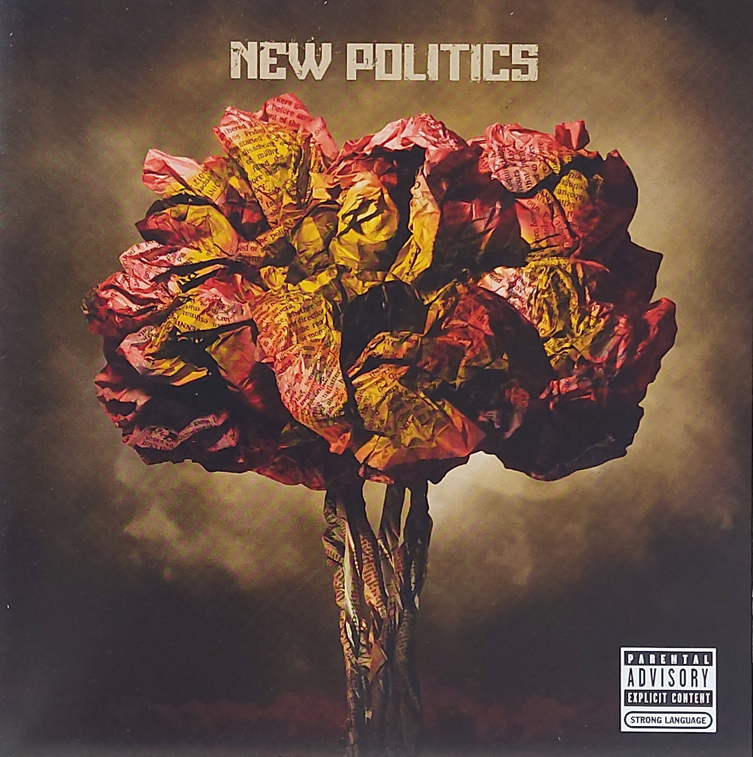 Used CD,New Politics - New Politics (B)(2010)