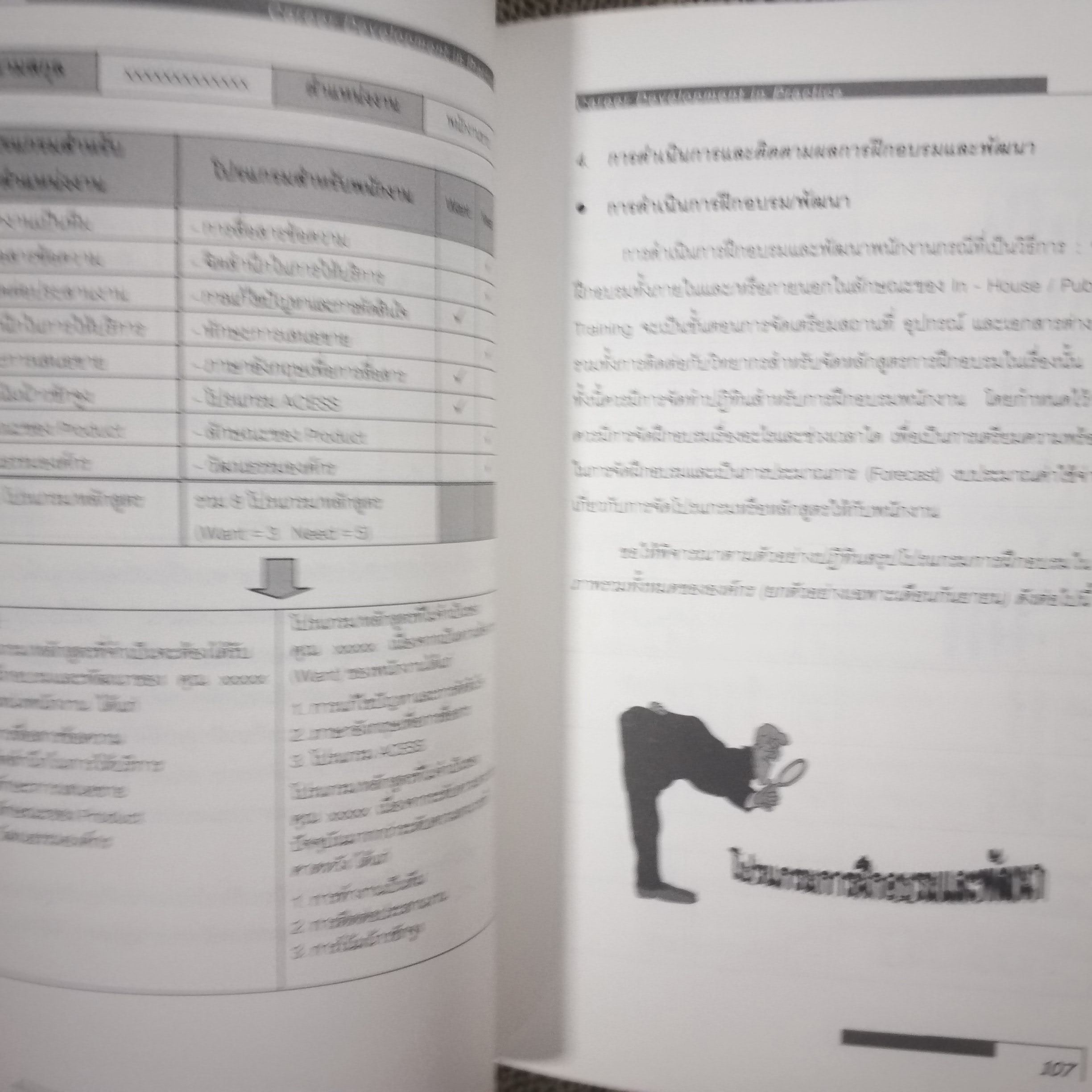CAREER DEVELOPMENT IN PRACTICE / อาภรณ์ ภู่วิทยพันธุ์ / หนังสือที่รวบรวมแนวคิด วิธีการและตัวอย่างต่างๆ เกี่ยวกับการพัฒนาทรัพยากรมนุษย์ ในรูปแบบต่างๆ ไม่ว่าจะเป็น วิธีการขั้นตอนในการกำหนดความสามารถ / สภาพดี 90 %