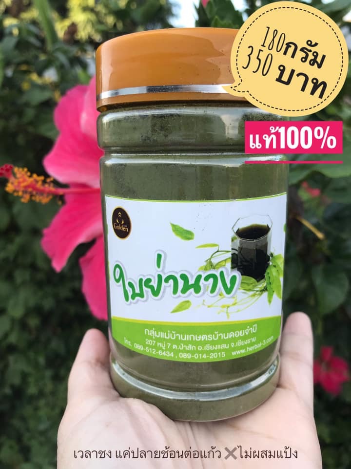 ชาใบย่านางบดแท้100% ❌ไม่ผสมแป้ง❌สีธรรมชาติ