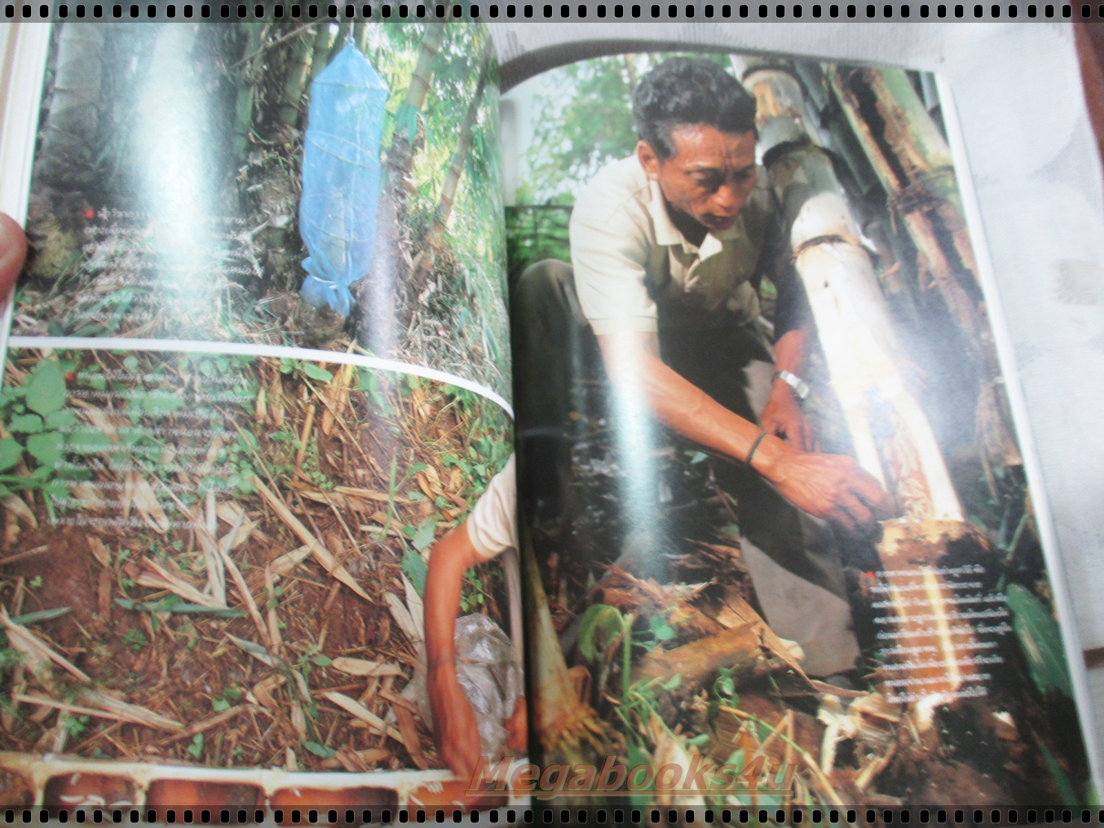 นิตยสารสารคดี ฉบับที่145 มีนาคม 2540 100ปีรถไฟไทย,หนอนไม้ไผ่,มาดากัสการ์,เที่ยวแก่งกระจาน