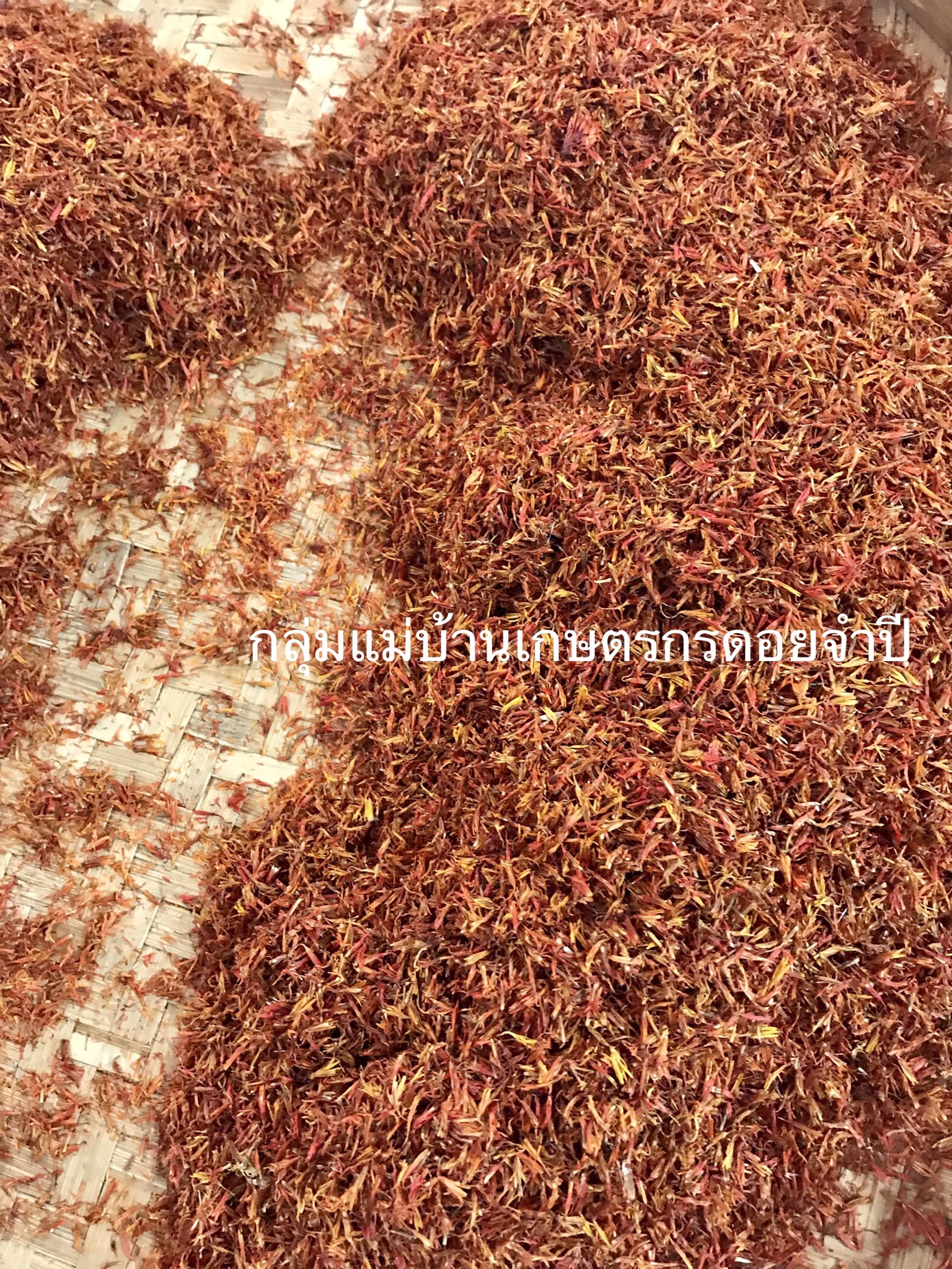 ดอกคำฝอยไทยแท้ 100%