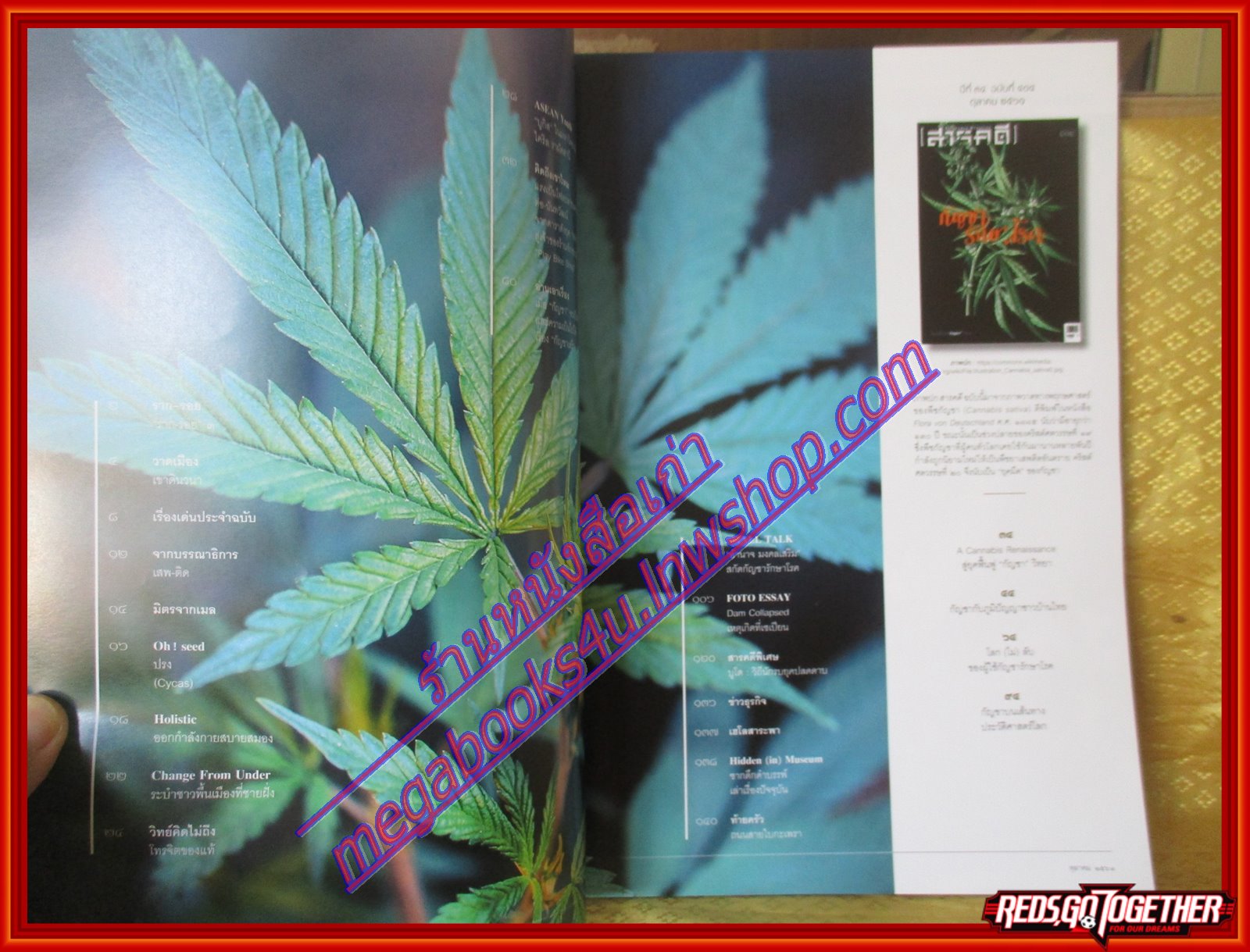 นิตยสารสารคดี ฉบับที่404 ปี2561 กัญชารักษาโรค