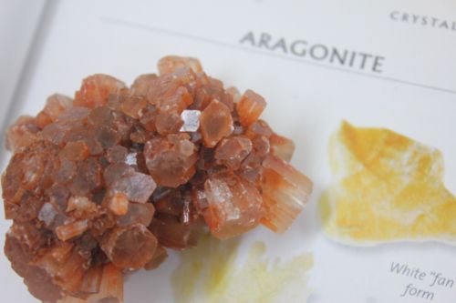 อราโกไนต์ ( Aragonite )