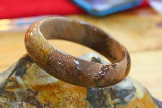 ไม้กลายเป็นหิน ( petrified wood )