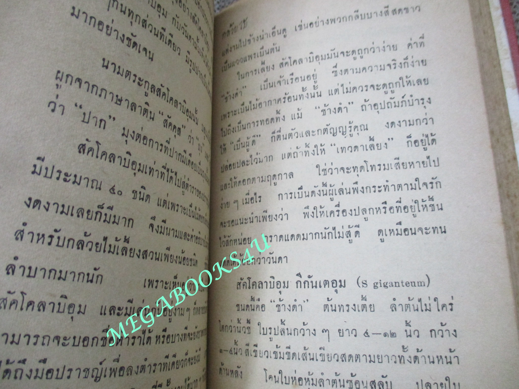 กล้วยไม้ / หญิงลักษณาเลิศ พรพิมล ปี2505 แนะนำวิธีเพาะเลี้ยงผสมพันธุ์กล้วยไม้ทุกๆพันธุ์ โดยวิธีเลี้ยงธรรมชาติ และโดยทางวิทยาศาสตร์อย่างละเอียดชัดเจน