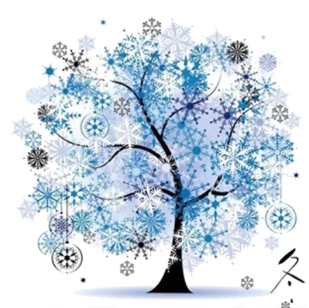 ชุดปักจีน Winter