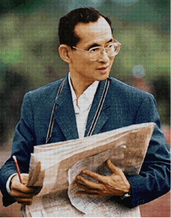 Pinn ในหลวง ร.๙ ทรงงาน
